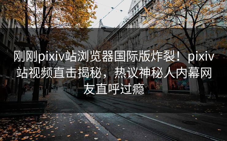 刚刚pixiv站浏览器国际版炸裂！pixiv站视频直击揭秘，热议神秘人内幕网友直呼过瘾