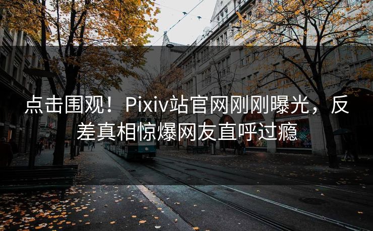 点击围观！Pixiv站官网刚刚曝光，反差真相惊爆网友直呼过瘾