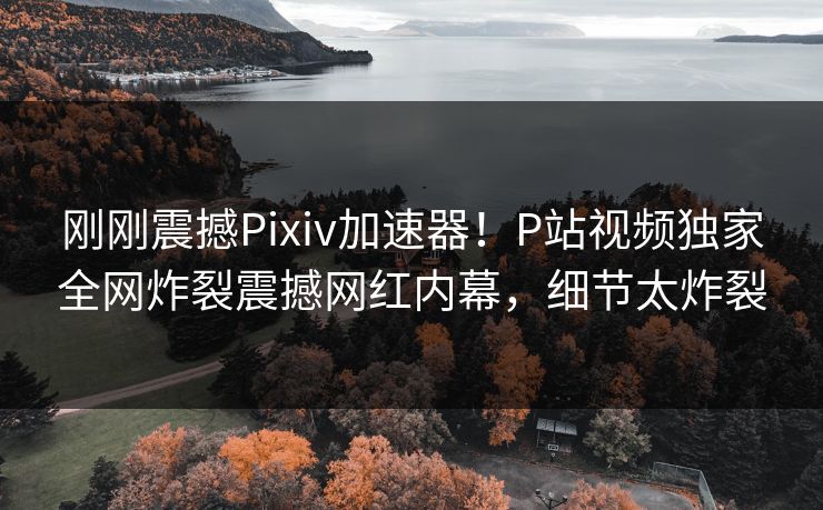 刚刚震撼Pixiv加速器！P站视频独家全网炸裂震撼网红内幕，细节太炸裂
