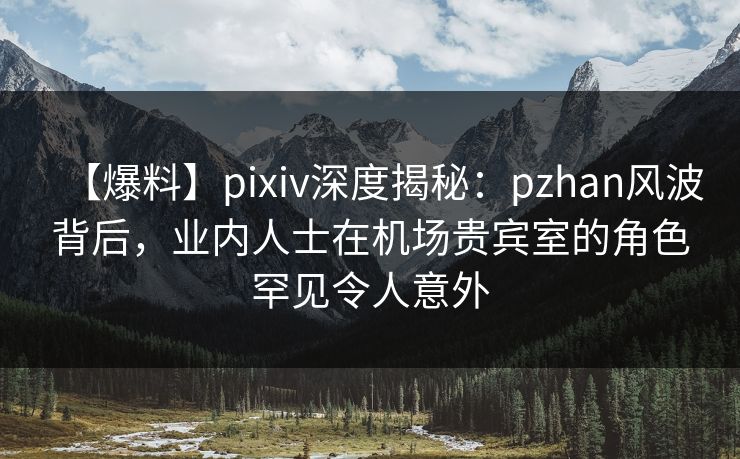 【爆料】pixiv深度揭秘：pzhan风波背后，业内人士在机场贵宾室的角色罕见令人意外